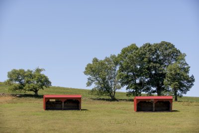 Cattle barns on horse barn hill