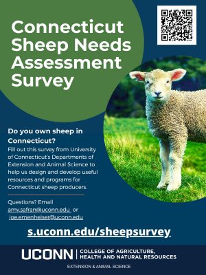 sheep survey flyer